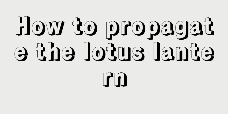 How to propagate the lotus lantern