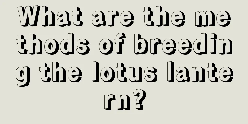 What are the methods of breeding the lotus lantern?