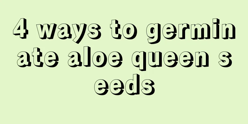 4 ways to germinate aloe queen seeds