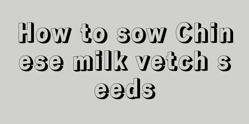 How to sow Chinese milk vetch seeds