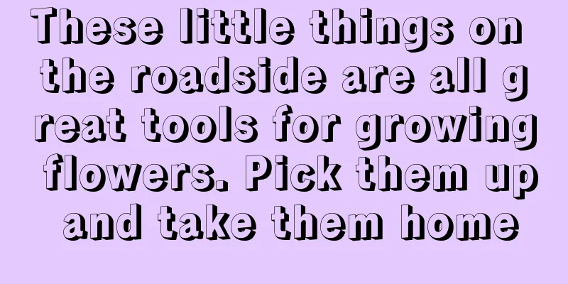 These little things on the roadside are all great tools for growing flowers. Pick them up and take them home