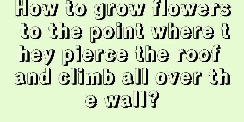 How to grow flowers to the point where they pierce the roof and climb all over the wall?