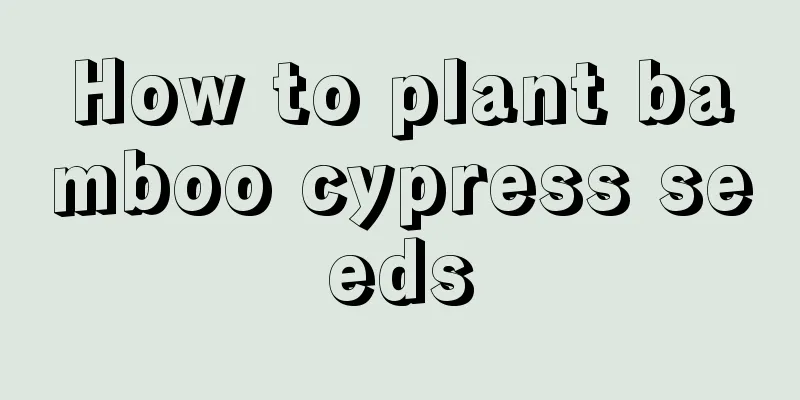 How to plant bamboo cypress seeds