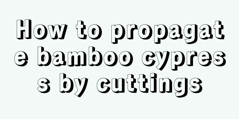 How to propagate bamboo cypress by cuttings