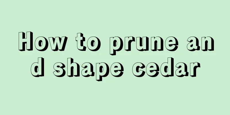 How to prune and shape cedar