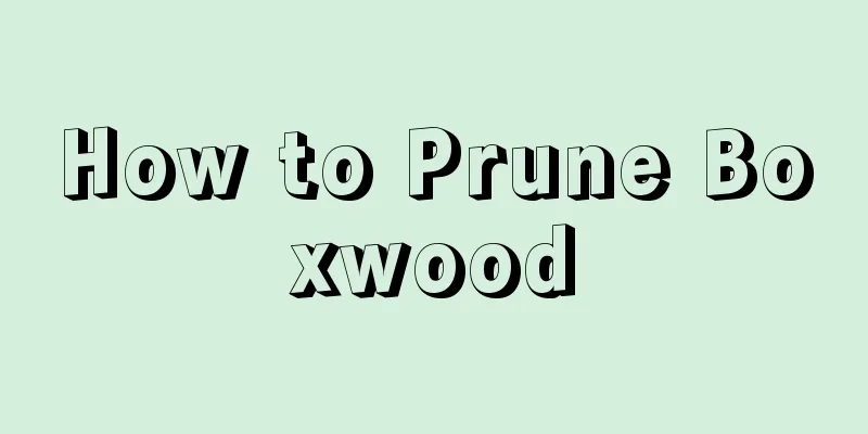 How to Prune Boxwood