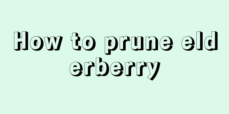 How to prune elderberry