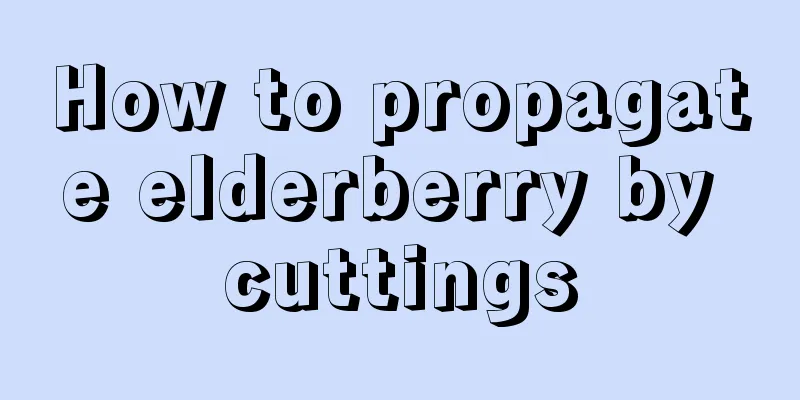 How to propagate elderberry by cuttings