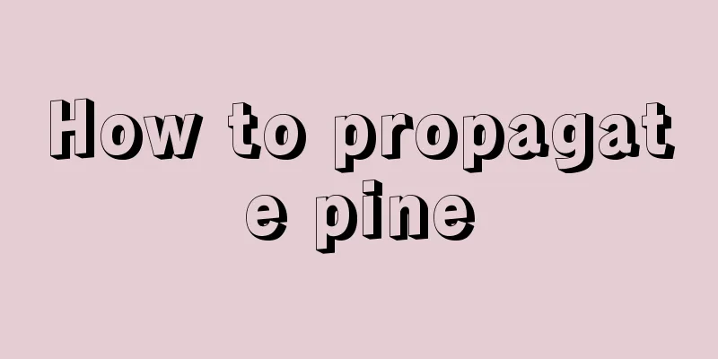 How to propagate pine