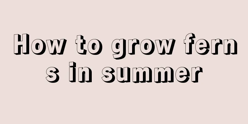 How to grow ferns in summer