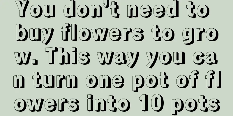 You don’t need to buy flowers to grow. This way you can turn one pot of flowers into 10 pots