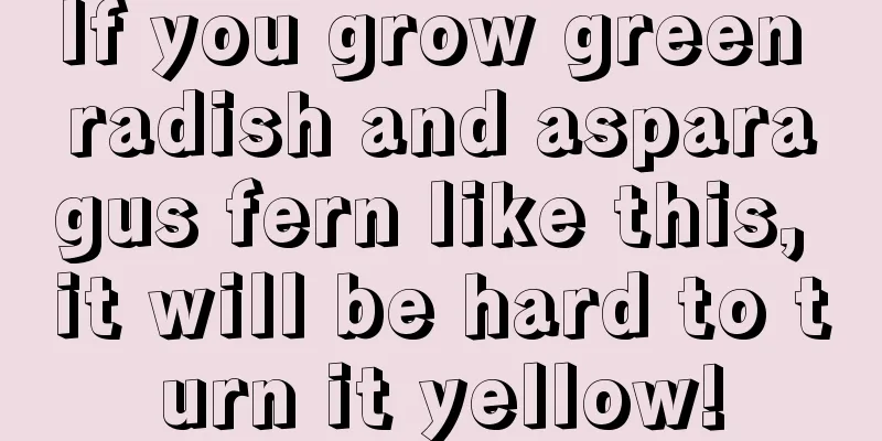 If you grow green radish and asparagus fern like this, it will be hard to turn it yellow!