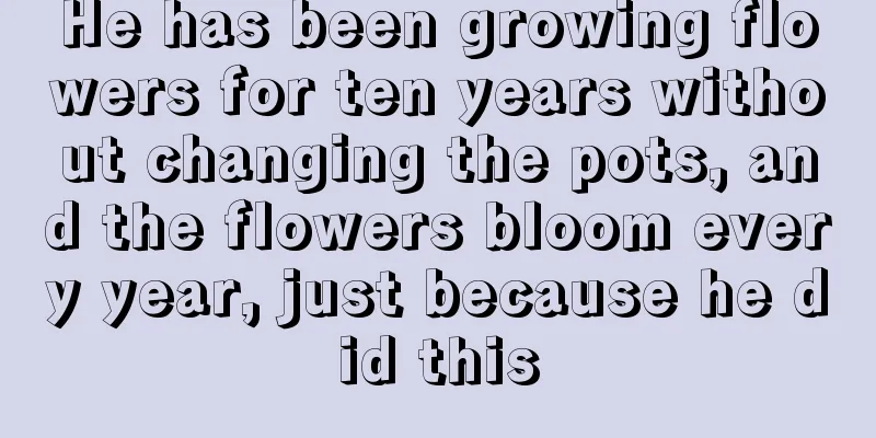 He has been growing flowers for ten years without changing the pots, and the flowers bloom every year, just because he did this