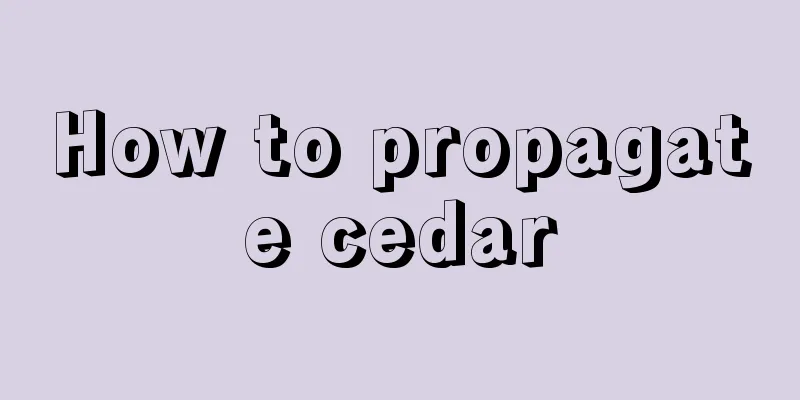 How to propagate cedar