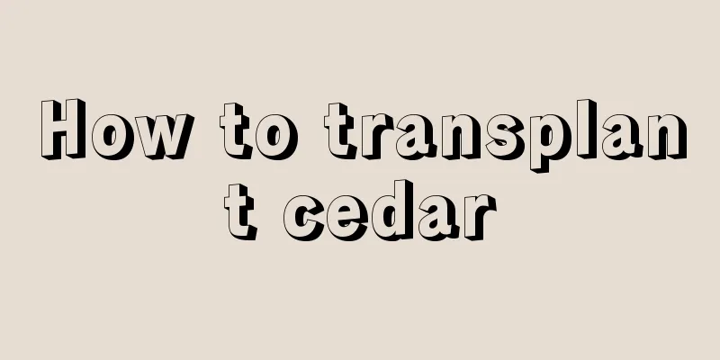 How to transplant cedar