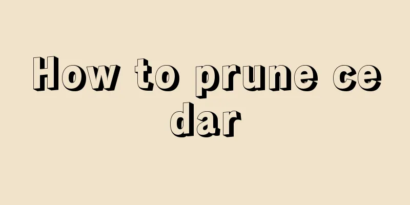 How to prune cedar