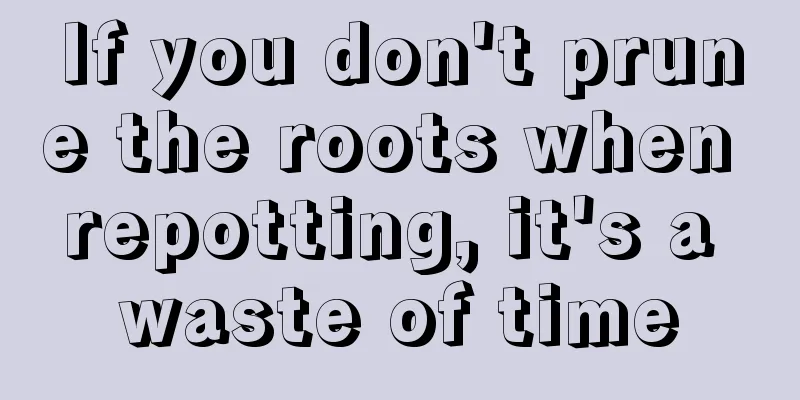 If you don't prune the roots when repotting, it's a waste of time