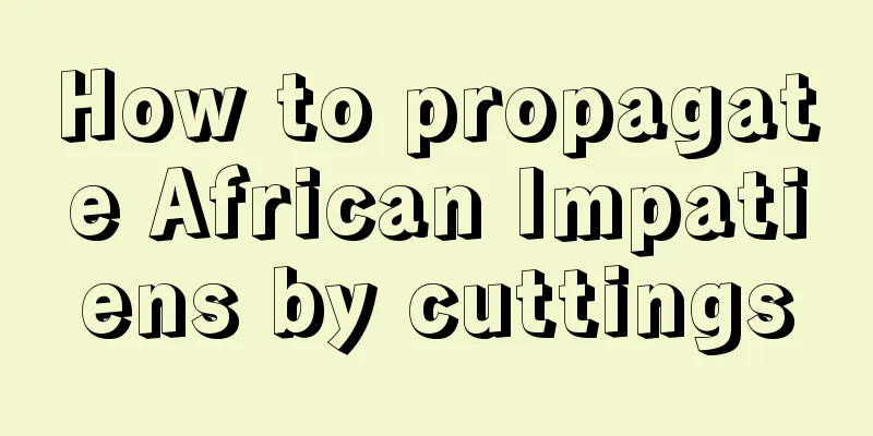 How to propagate African Impatiens by cuttings