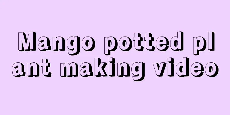 Mango potted plant making video