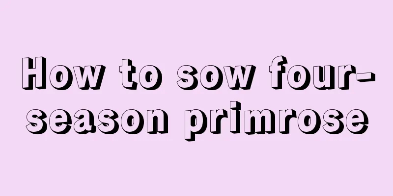 How to sow four-season primrose