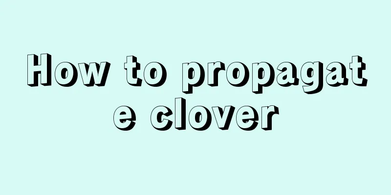 How to propagate clover