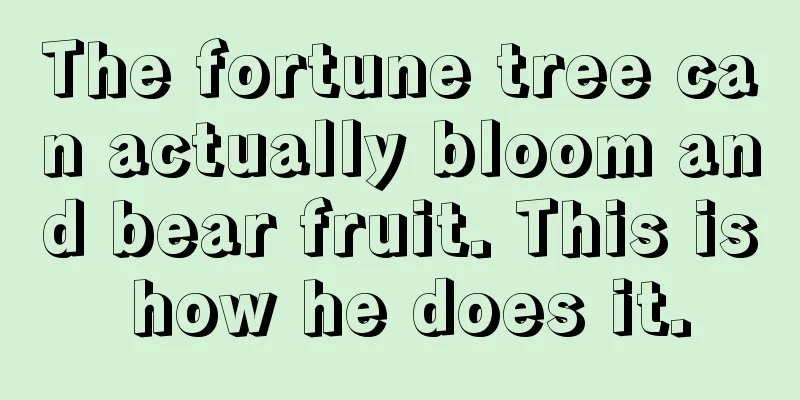 The fortune tree can actually bloom and bear fruit. This is how he does it.