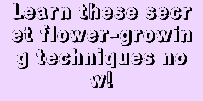 Learn these secret flower-growing techniques now!