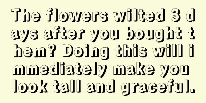 The flowers wilted 3 days after you bought them? Doing this will immediately make you look tall and graceful.