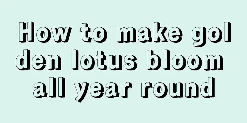 How to make golden lotus bloom all year round