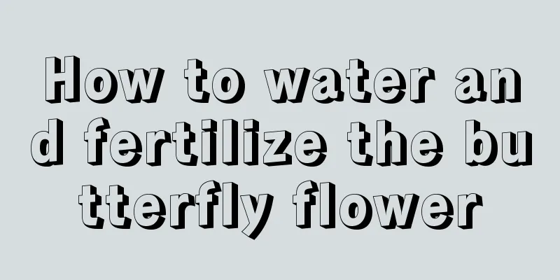 How to water and fertilize the butterfly flower