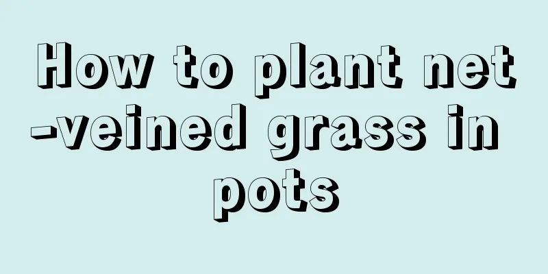 How to plant net-veined grass in pots