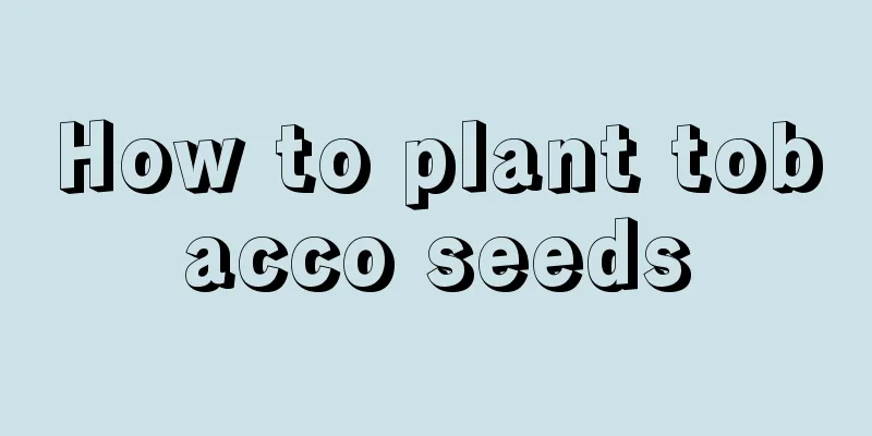 How to plant tobacco seeds