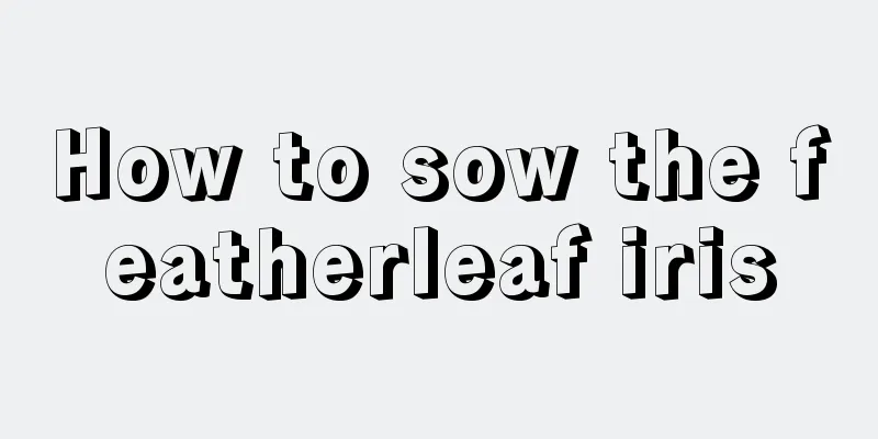 How to sow the featherleaf iris