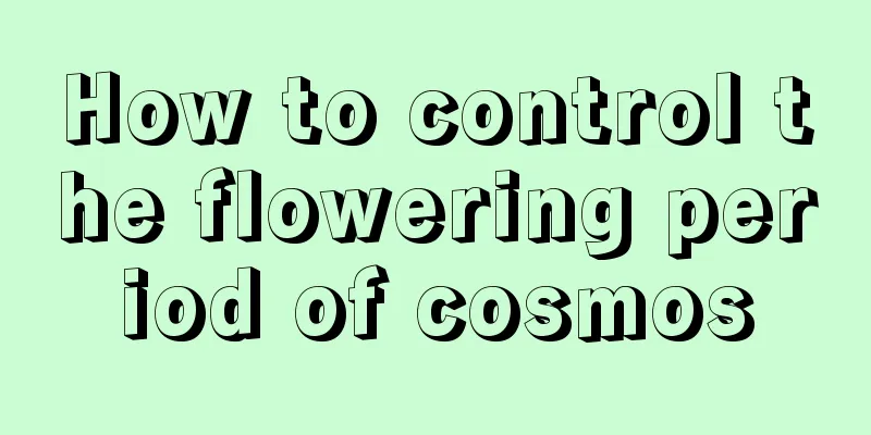 How to control the flowering period of cosmos