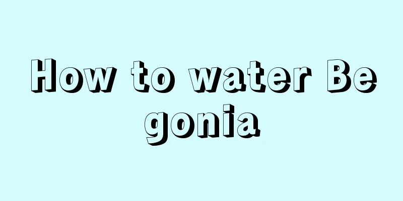 How to water Begonia