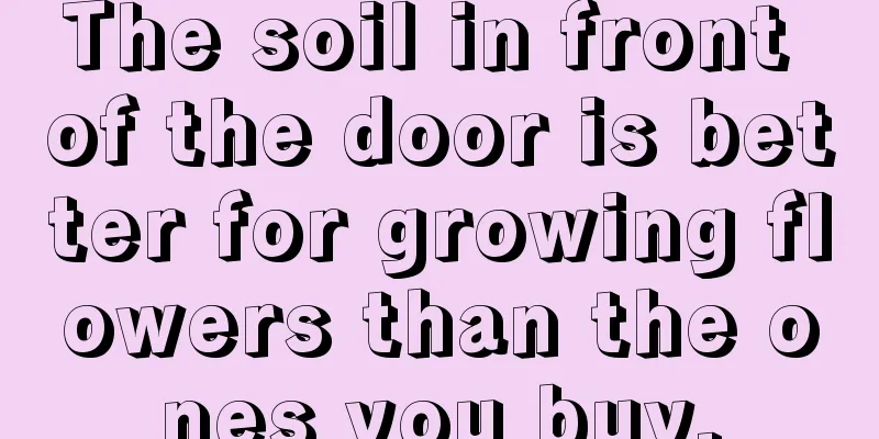 The soil in front of the door is better for growing flowers than the ones you buy.