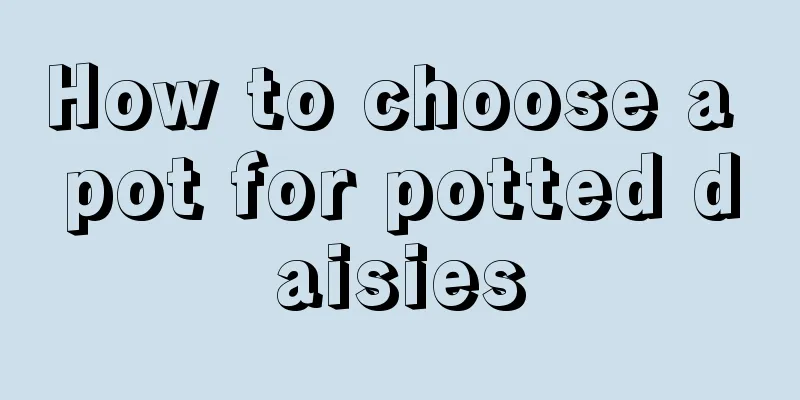 How to choose a pot for potted daisies