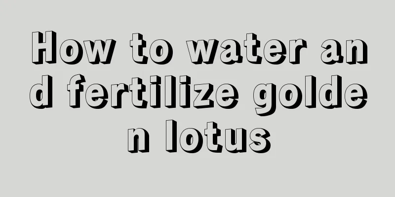 How to water and fertilize golden lotus