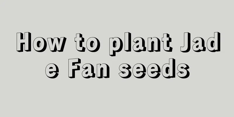 How to plant Jade Fan seeds