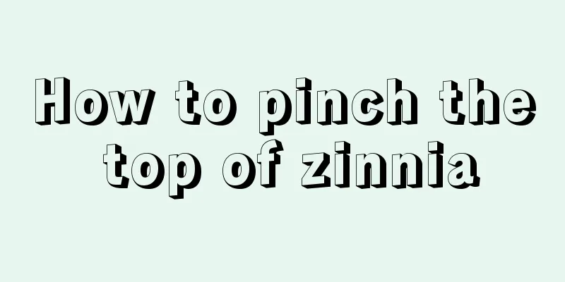 How to pinch the top of zinnia