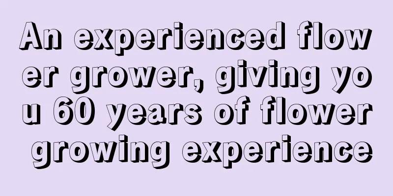 An experienced flower grower, giving you 60 years of flower growing experience