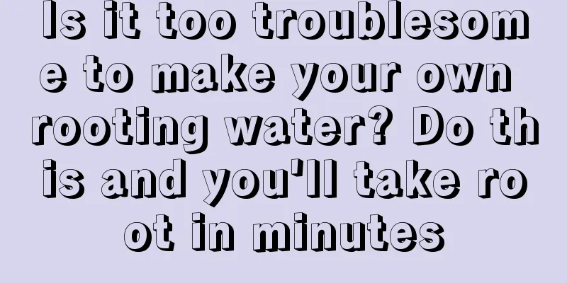 Is it too troublesome to make your own rooting water? Do this and you'll take root in minutes