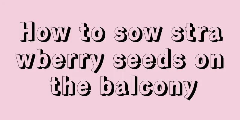 How to sow strawberry seeds on the balcony