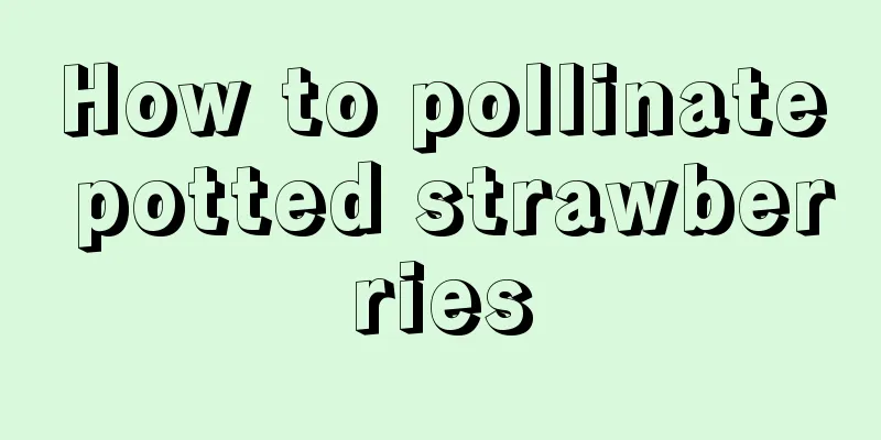 How to pollinate potted strawberries