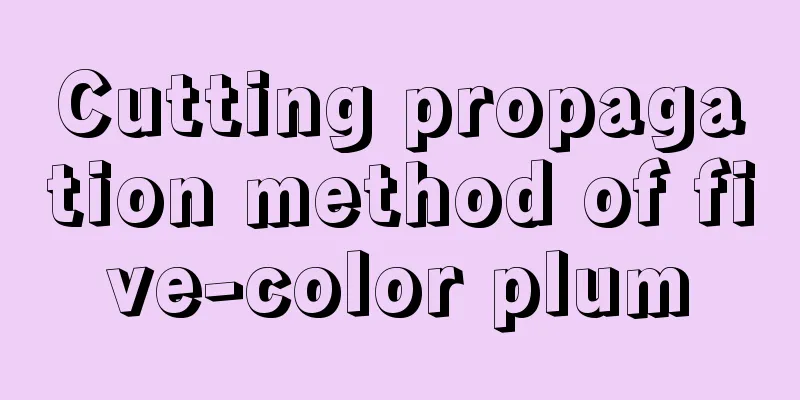 Cutting propagation method of five-color plum