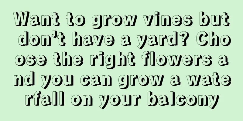 Want to grow vines but don’t have a yard? Choose the right flowers and you can grow a waterfall on your balcony