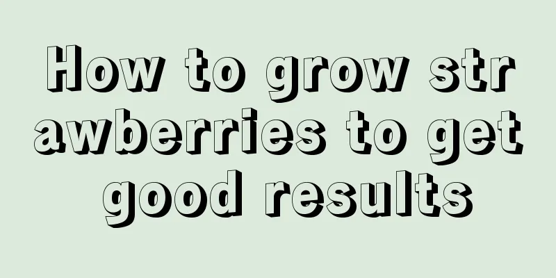 How to grow strawberries to get good results