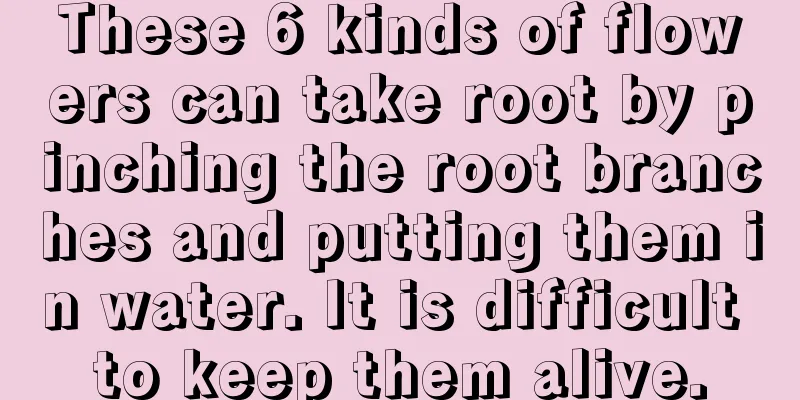 These 6 kinds of flowers can take root by pinching the root branches and putting them in water. It is difficult to keep them alive.