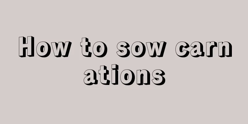 How to sow carnations