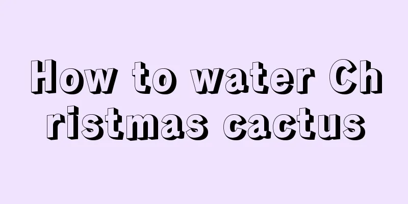 How to water Christmas cactus